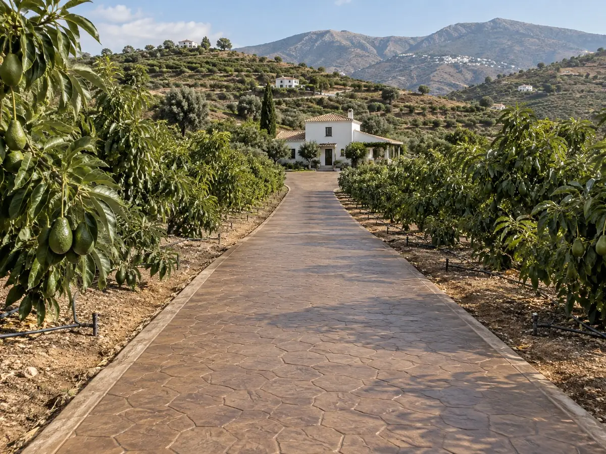Camino de hormigón impreso en finca de Vélez-Málaga