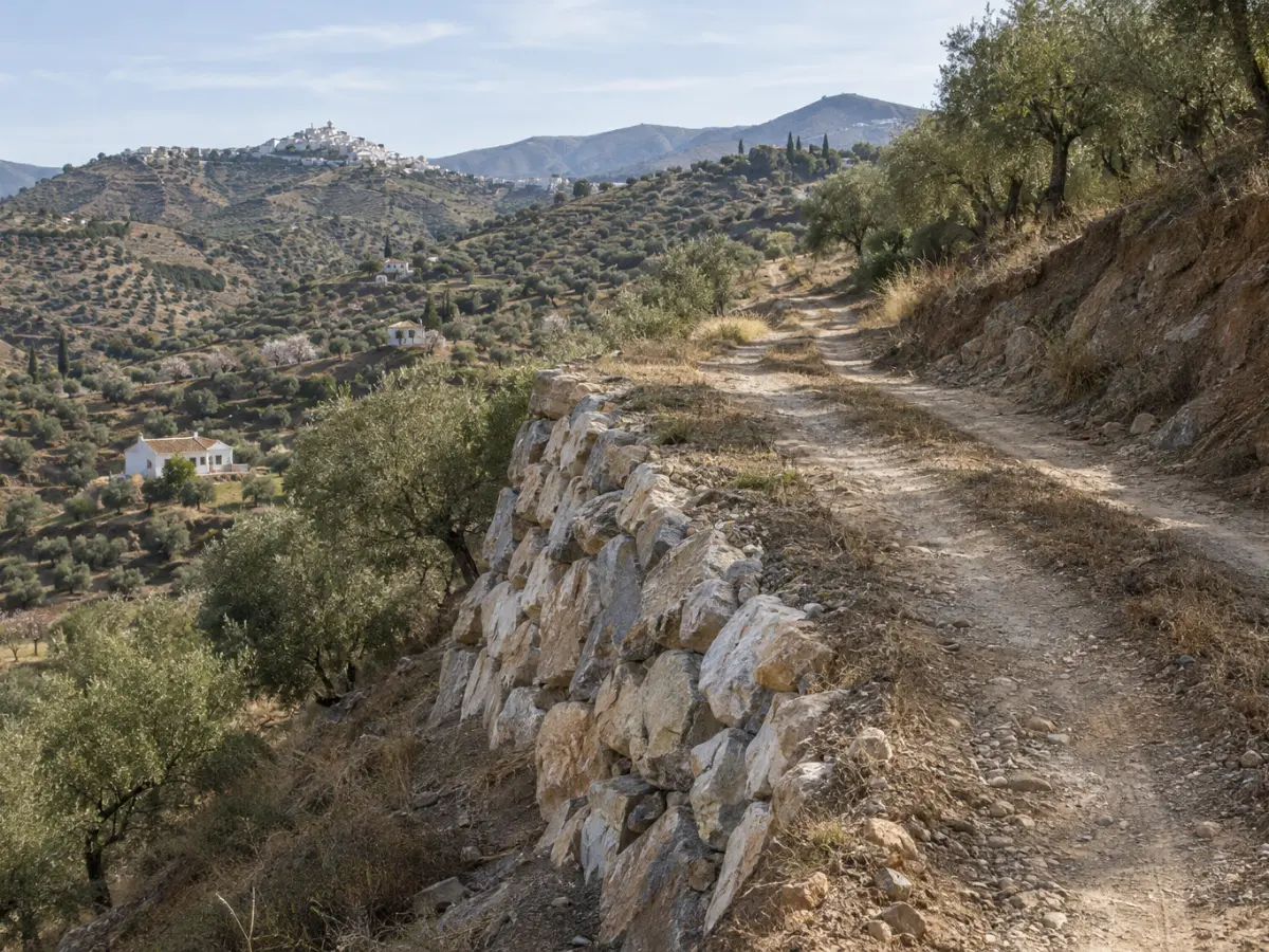 Camino rural de tierra en Almogía reforzado con un muro de escollera de piedra