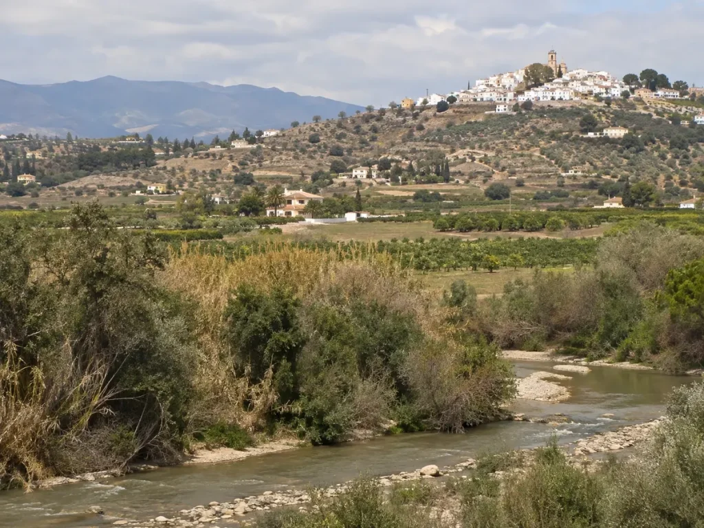Cártama river plain and hillside districts