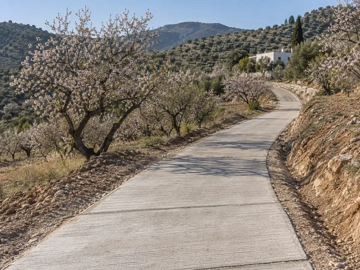 Acceso a un cortijo entre almendros en Colmenar con tramo de hormigón