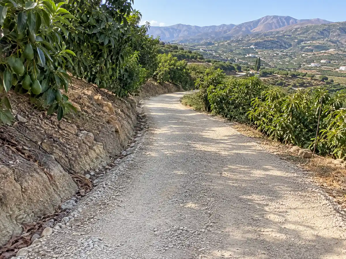 Arreglo de carriles en Vélez-Málaga: carril de finca de aguacates arreglado con zahorra en Vélez-Málaga