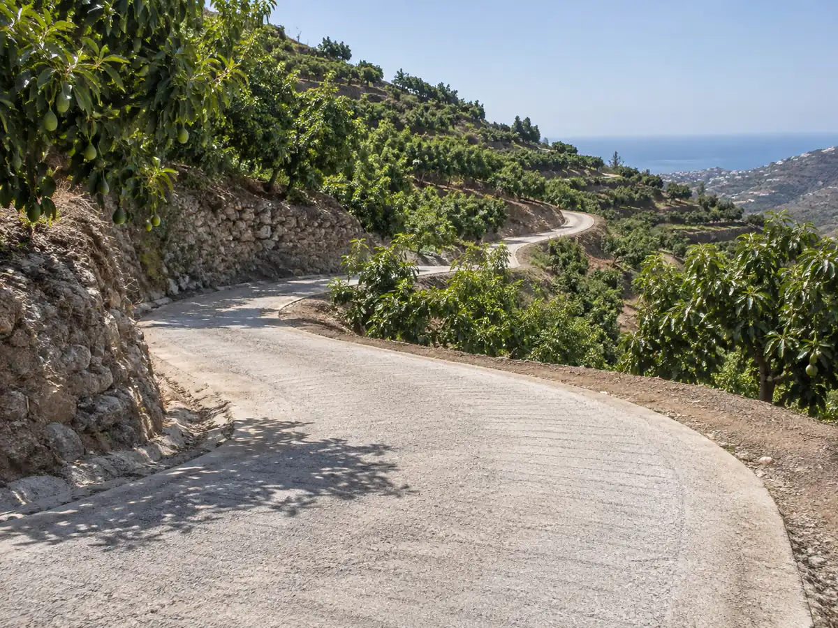 Arreglo de carriles en Torrox: carril en zigzag entre bancales de aguacates arreglado en Torrox