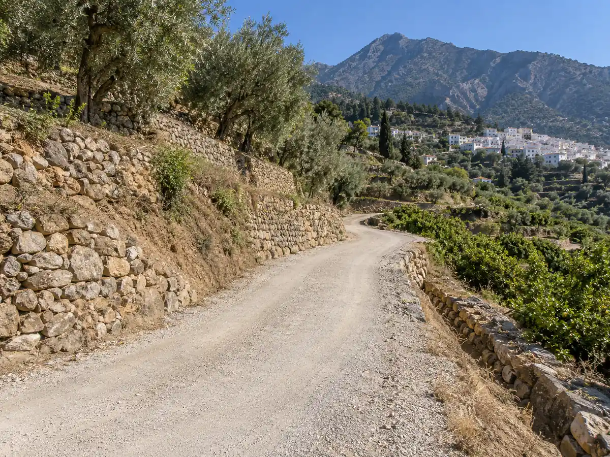 Camino agrícola entre bancales con zahorra compactada en Frigiliana