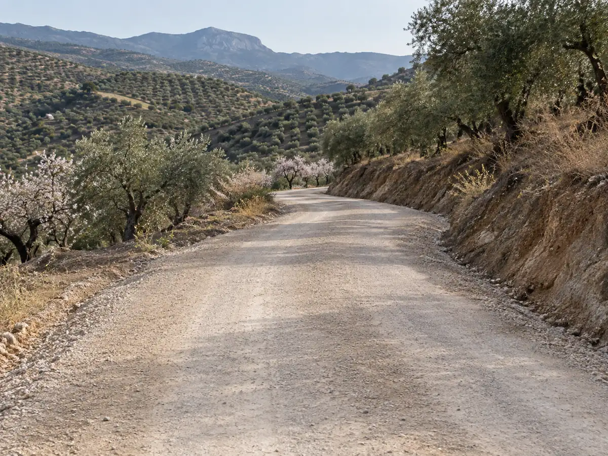 Arreglo de carriles en Colmenar: camino de tierra arcillosa arreglado con zahorra en Colmenar