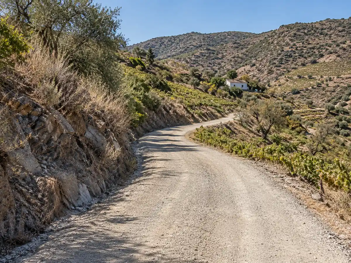 Arreglo de carriles en Comares: carril largo de montaña hacia un cortijo en Comares