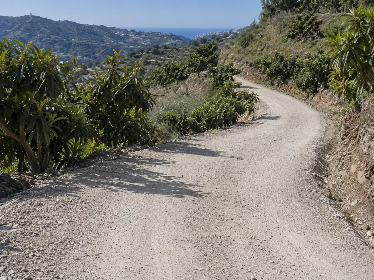 Arreglo de carriles en Sayalonga: carril de una finca de nísperos en Sayalonga arreglado con zahorra