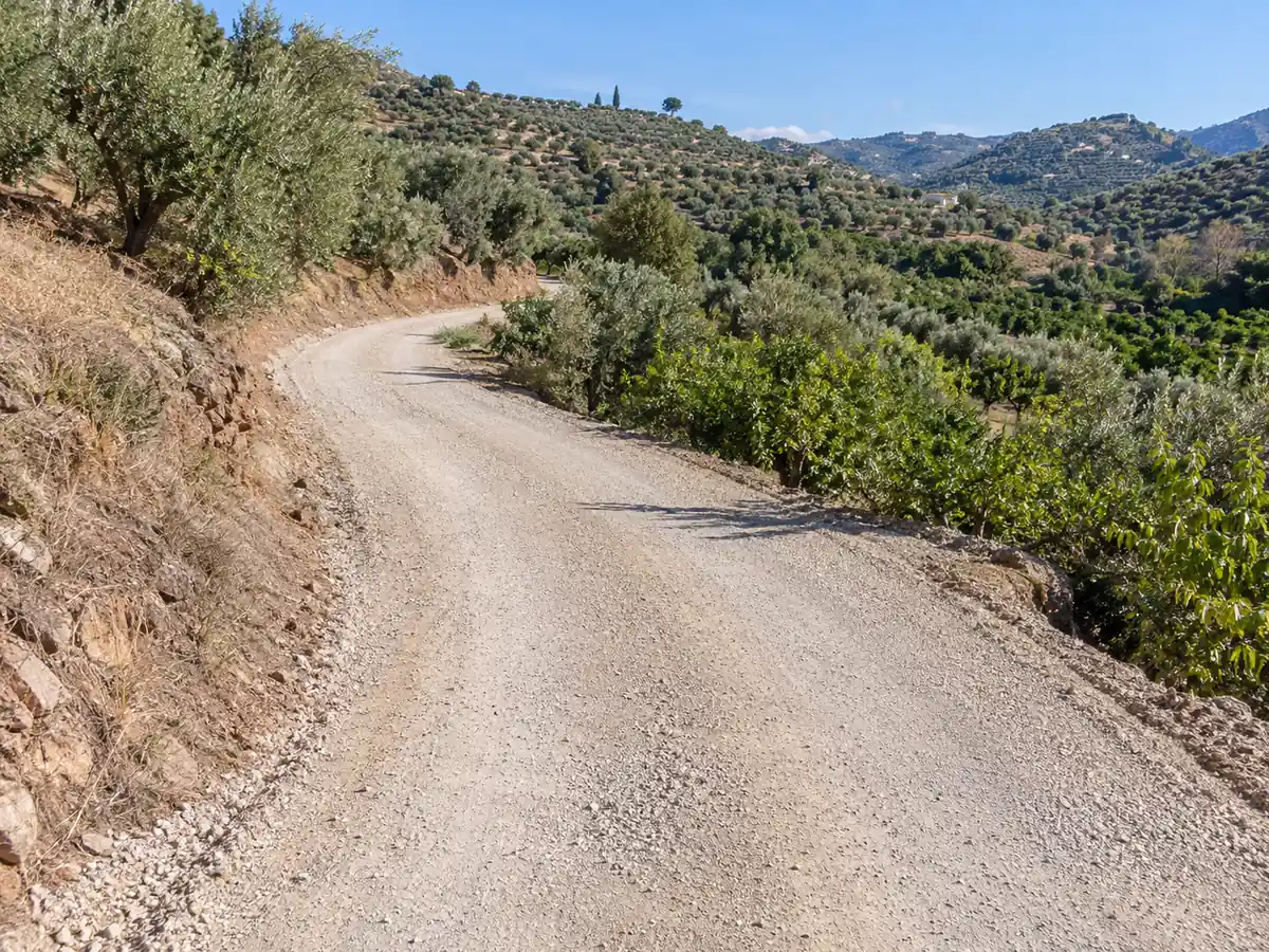 Arreglo de carriles en Benamocarra: carril de una finca del valle arreglado con zahorra en Benamocarra