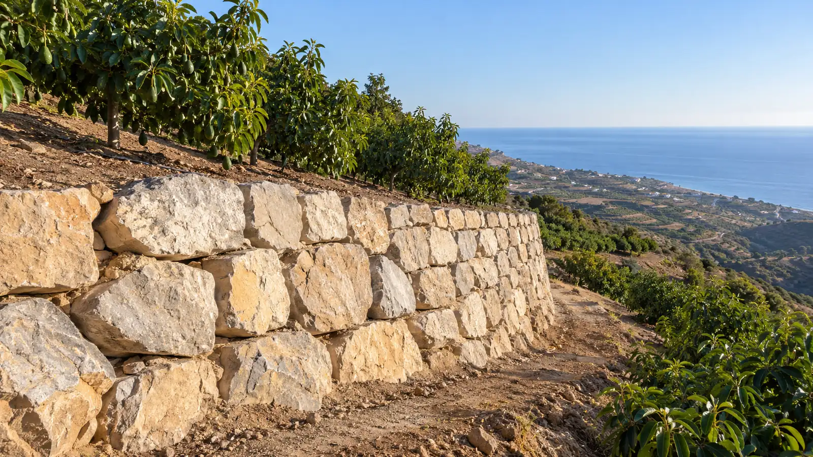 Escollera wall on an avocado terrace in Algarrobo
