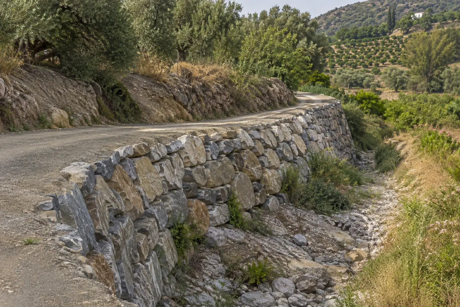 Escollera junto a un carril rural — en Almuñécar Talud de carril rural estabilizado con escollera junto a un barranco seco, vegetación mediterránea y una finca con frutales en la distancia.