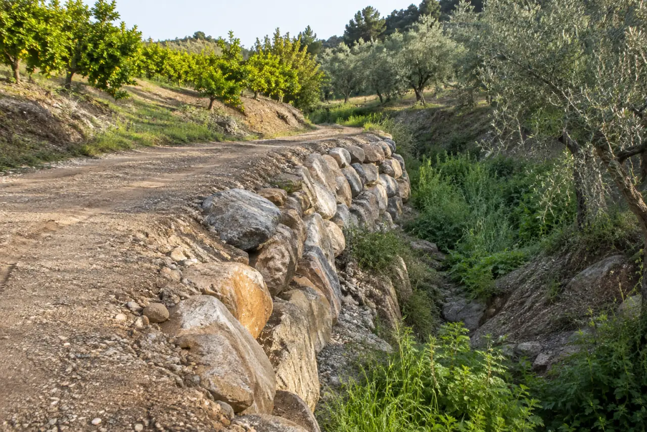 Escollera estabilizando el borde de un carril de finca junto a una pequeña vaguada, frutales y olivos al fondo.
