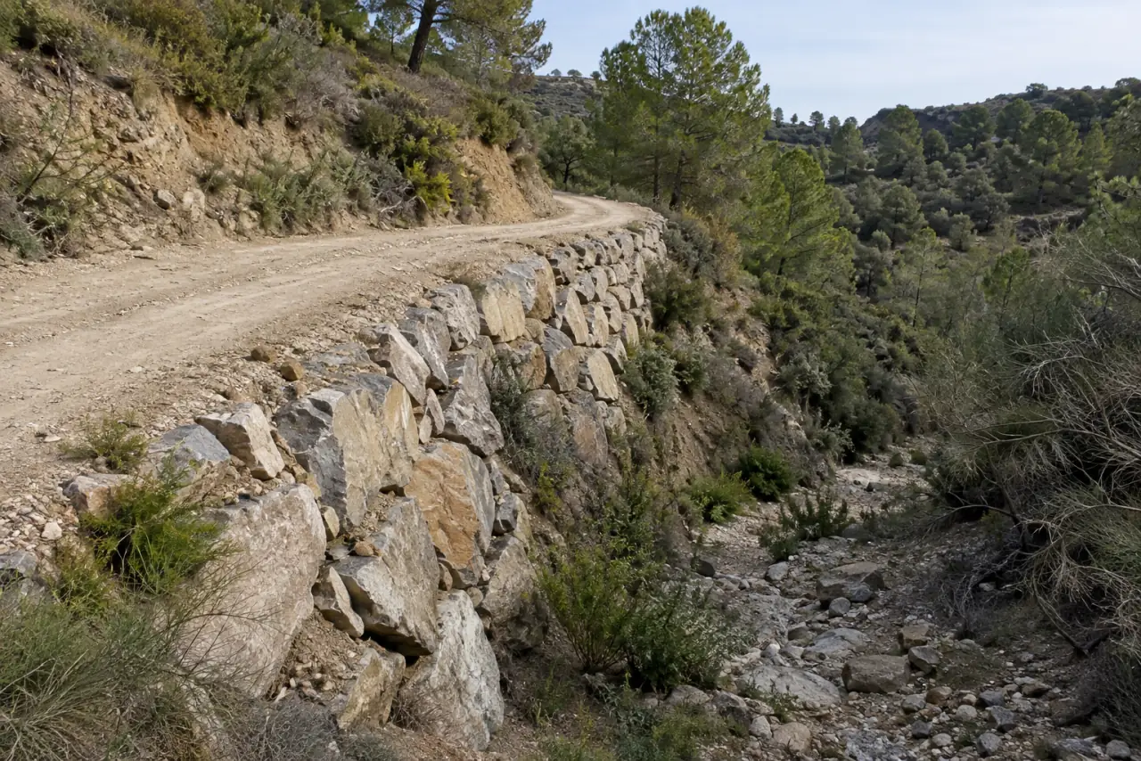 Talud de un carril rural sujeto con escollera junto a un barranco seco en una ladera con pinos y matorral.