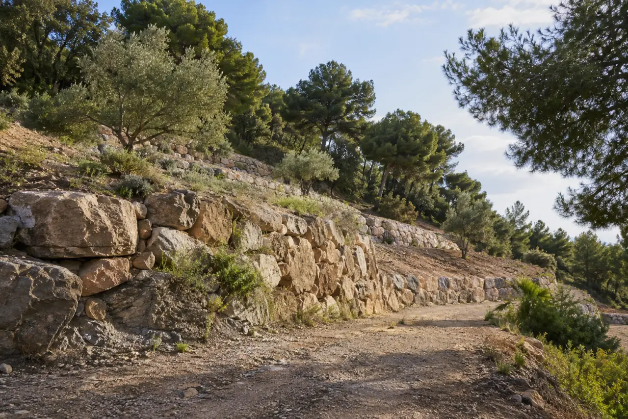 Bancales con muros de escollera — en Benalmádena Ladera con varios bancales de tierra compactada y escolleras estables entre pinos y algarrobos, parcela rural.
