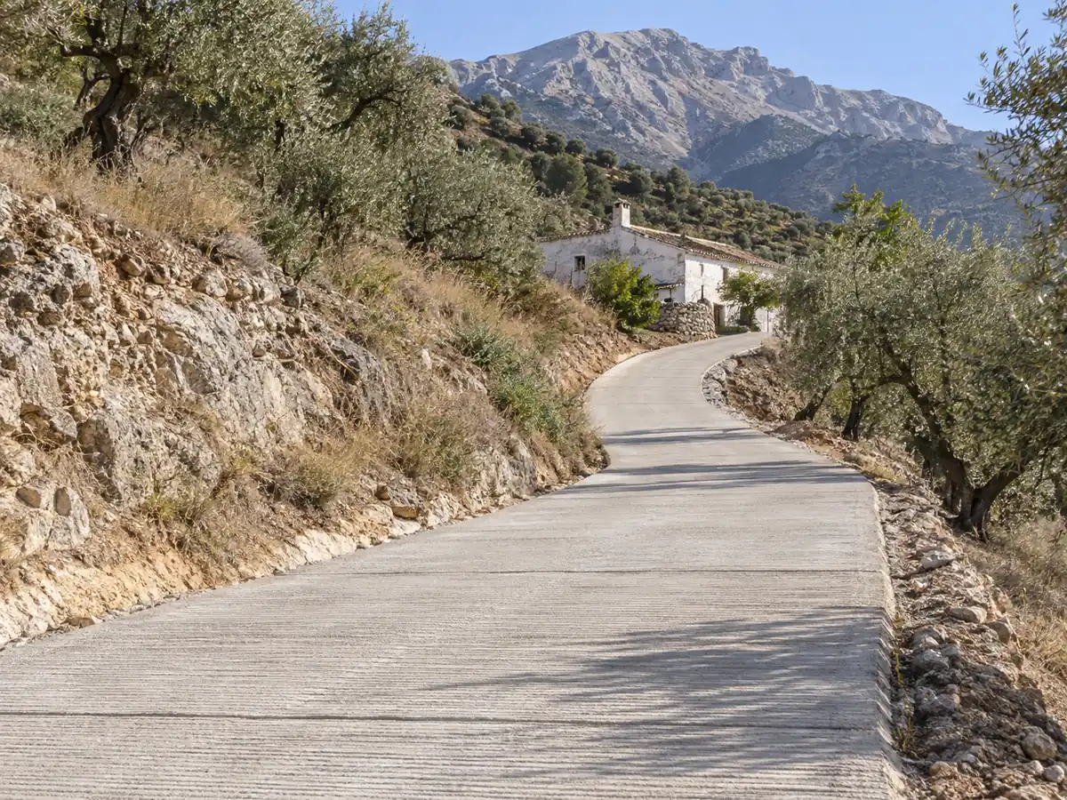 Cuesta de acceso a un cortijo hormigonada en Canillas de Aceituno