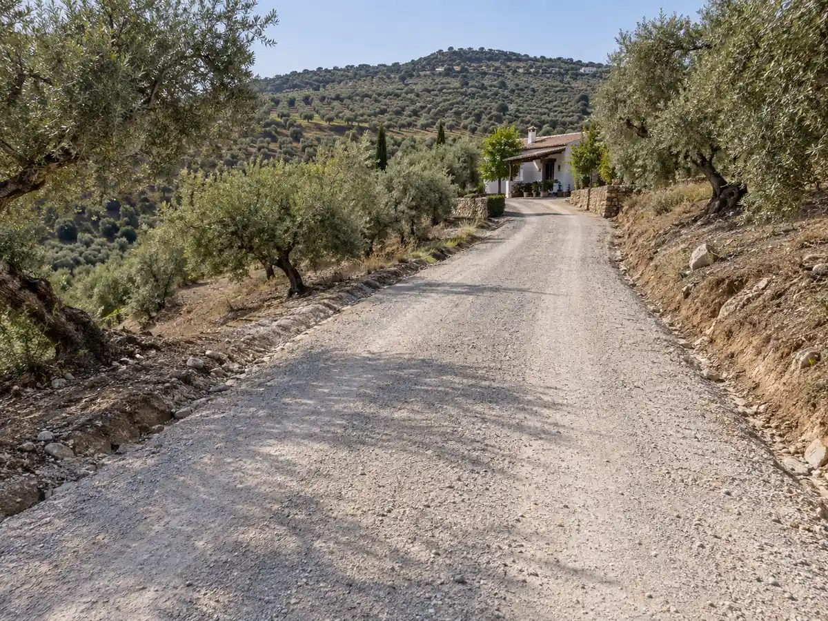 Camino arreglado con zahorra hasta una casa de campo entre olivos en Colmenar