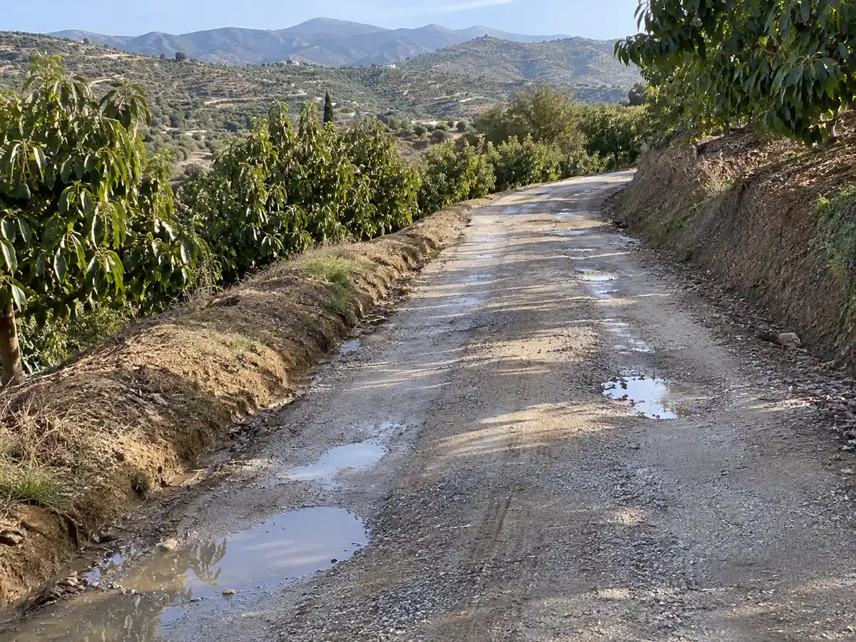 Carril de finca de aguacates con cunetas y zahorra en Benamocarra