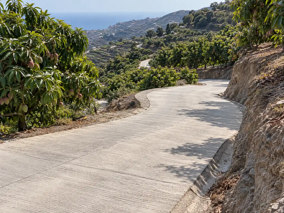 Curvas de un carril hormigonadas en una finca de mangos de Torrox