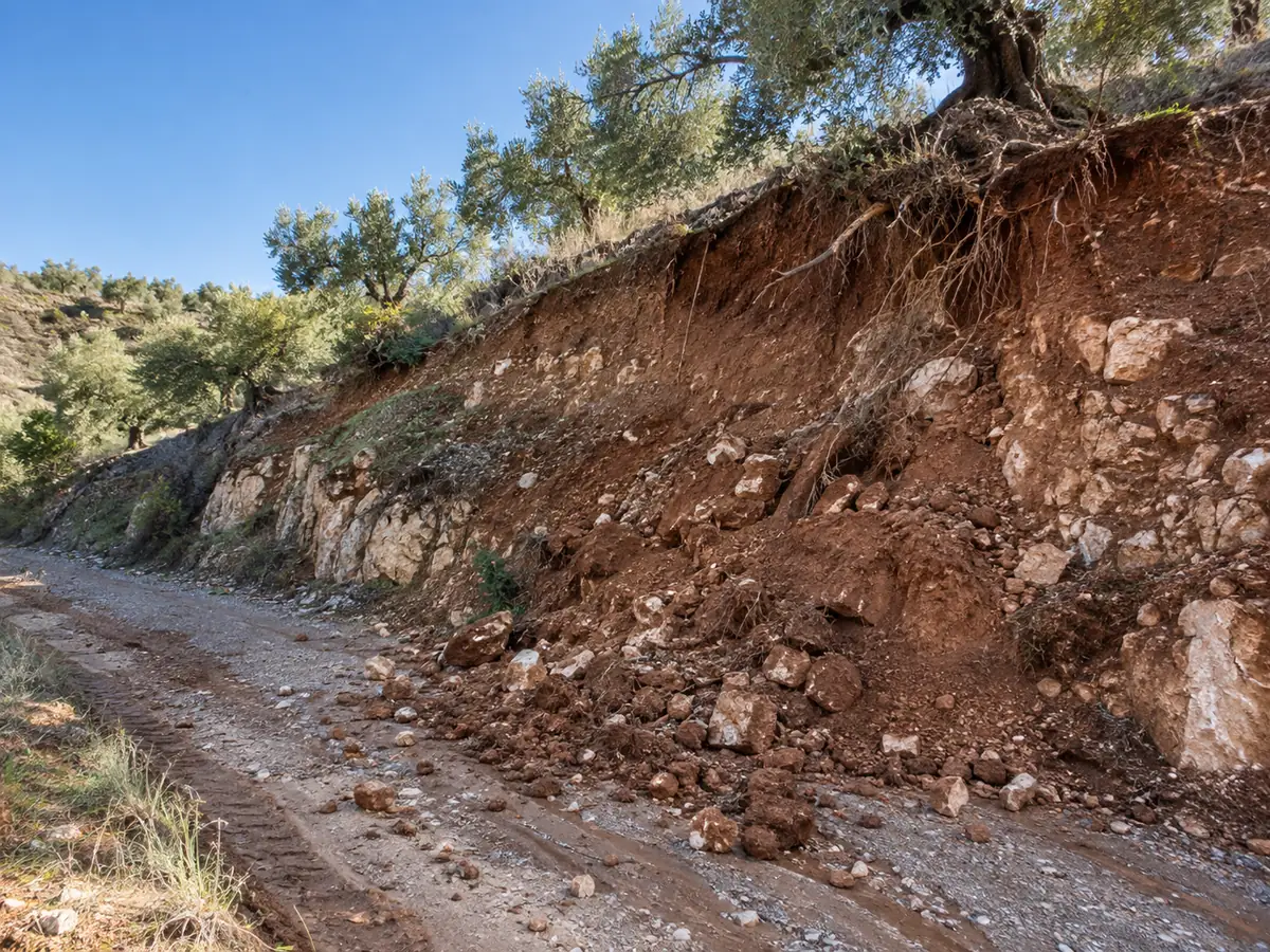 Talud de tierra con desprendimientos en una finca de la Axarquía